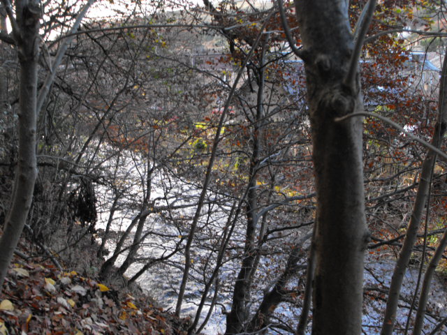 Looking down through the trees to the Leithen Water, Innerleithen