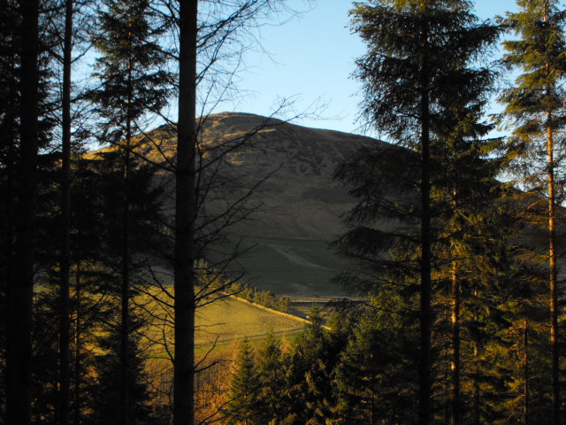 Looking towards Lee Pen from the woods near Innerleithen Golf Course, Scottish Borders