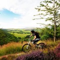 Mountain Biker in the hills above Innerleithen, Scottish Borders with heather in the foreground.